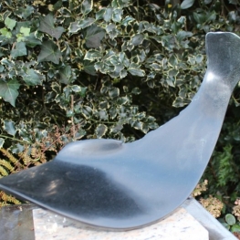zwarte baars zwarte baars