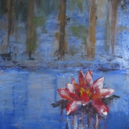 Lily Lily