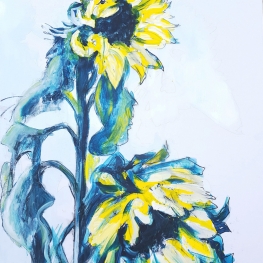 Sunflowers Sunflowers