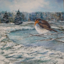 Roodborst in de winter Roodborst in de winter