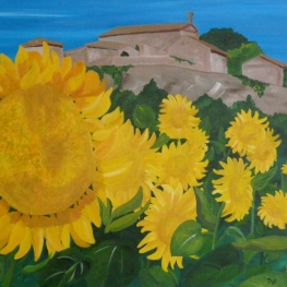 Zonnenbloemen Zonnenbloemen
