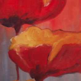 Papavers Papavers
