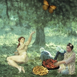 The Picknick The Picknick