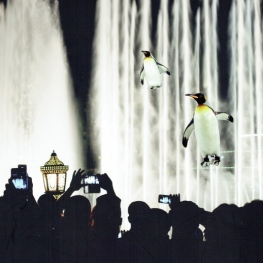 Penguins on stage Penguins on stage