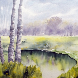 Westerborkerstroomgebied Westerborkerstroomgebied