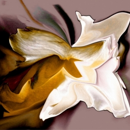 Abstracte wit/okergele roos Abstracte wit/okergele roos