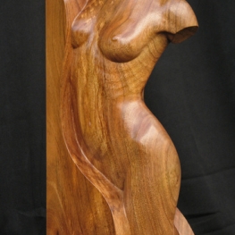 Wood nymph I Wood nymph I
