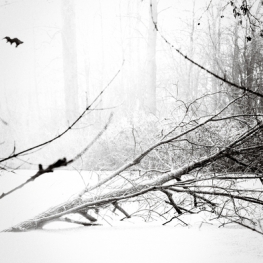 Winterlandschap II Winterlandschap II