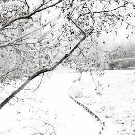 Winterlandschap IV Winterlandschap IV