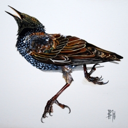 dead birds no III dead birds no III