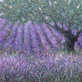 Tussen de lavendel Tussen de lavendel