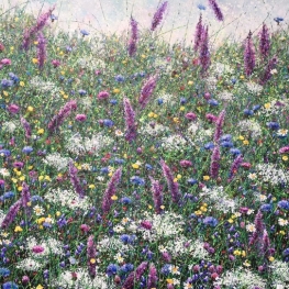 Purple summer Purple summer
