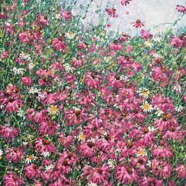 Summer field Summer field