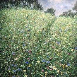 Through the grass Through the grass