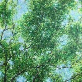 Sunny trees Sunny trees