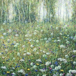 Through the morning meadow Through the morning meadow