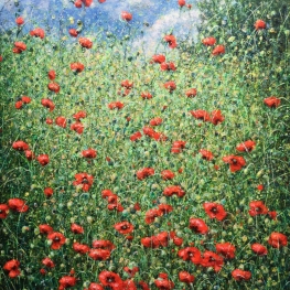 When poppies bloom When poppies bloom