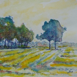 Hilvarenbeek Hilvarenbeek