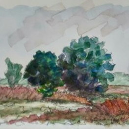 Kampina Kampina