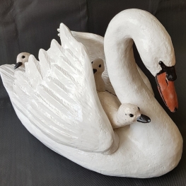 Grote Zwaan Grote Zwaan