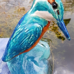 IJsvogeltje IJsvogeltje