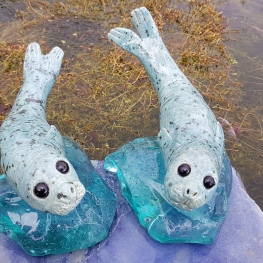 Setje Zeehondjes Setje Zeehondjes