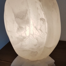 Albast Tulp Lamp Albast Tulp Lamp