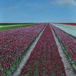 Tulpenvelden: Rood, Wit en Groen Tulpenvelden: Rood, Wit en Groen