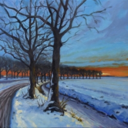 Sneeuwlandschap Sneeuwlandschap