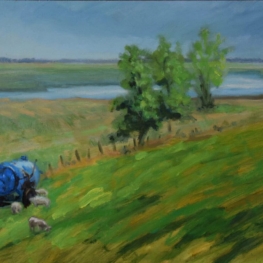 Schaapjes van de Breebaartpolder Schaapjes van de Breebaartpolder