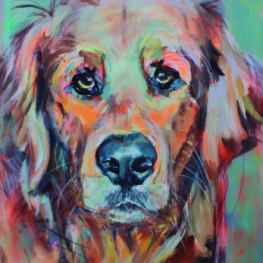 Golden Retriever portret Golden Retriever portret