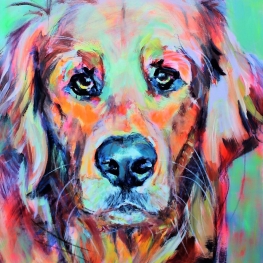 Golden Retriever portret Golden Retriever portret