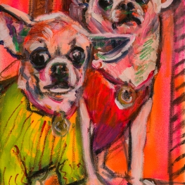 Hond Chihuahuas Hond Chihuahuas