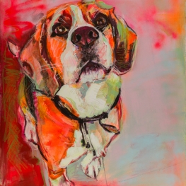 Hond Beagle portret Hond Beagle portret