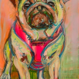 Hond Mops-hond Hond Mops-hond
