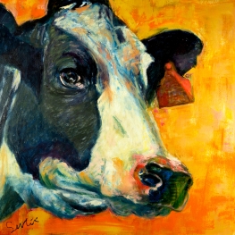 Koe portret VI, koeienschilderij Koe portret VI, koeienschilderij