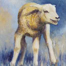 Lammetje Lammetje