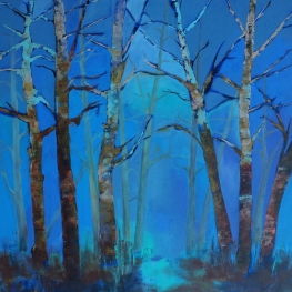 Berken Blauw Berken Blauw
