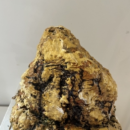 Liefdevolle Herinneringen Liefdevolle Herinneringen