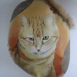 Rode kater Poekie Rode kater Poekie