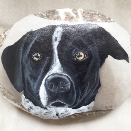 Hond Nelson Hond Nelson
