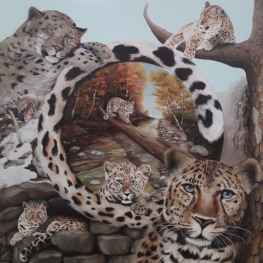 Amur Luipaard Amur Luipaard
