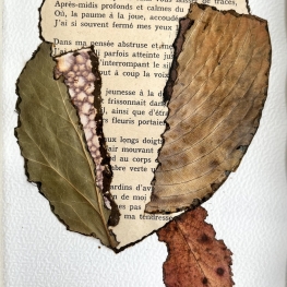 L’Adieu aux Jardins L’Adieu aux Jardins