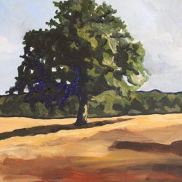 Uitzicht vanuit het houten huisje Uitzicht vanuit het houten huisje