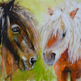 Pony 5. Pony 5.