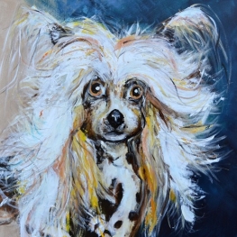 Hondje Hondje