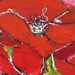 Papaver Rhoeas Papaver Rhoeas