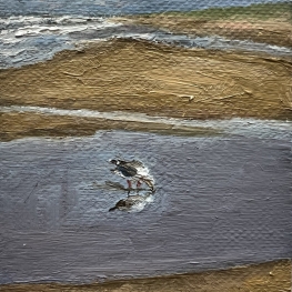Spiegelbeeld Spiegelbeeld