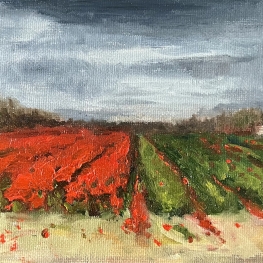 Rood vs groen Rood vs groen