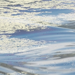 Water (1) Water (1)